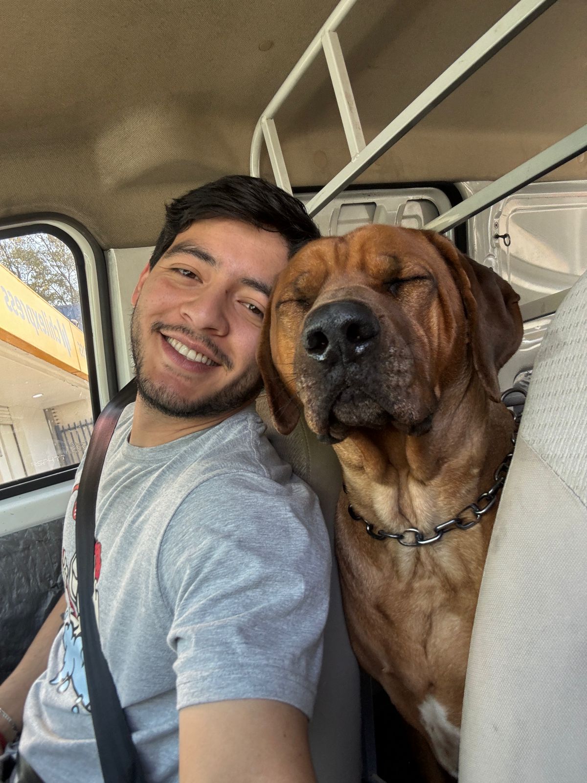 Perro feliz bañado en Lavacan